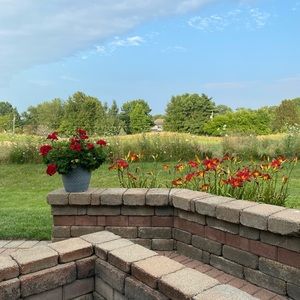 Meet your Posher, Dawn